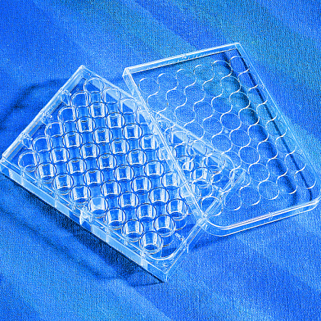 Планшет культуральный, 48-луночный, для суспензионных культур ( non-treated), стерильный, индивидуально упакованный, 1 шт/уп